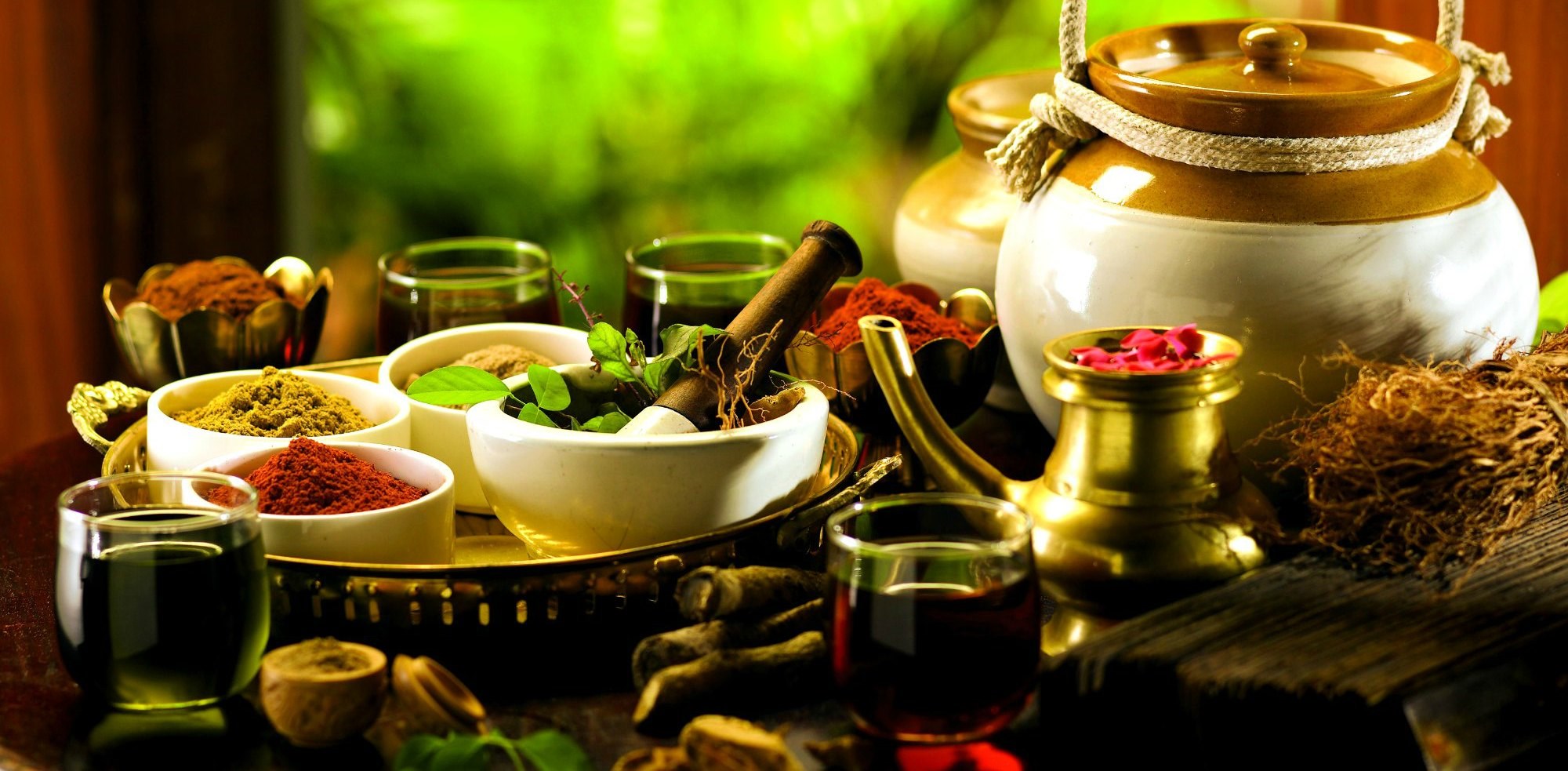 ayurvedaimagem-15-1 ayurvedaimagem-15-1